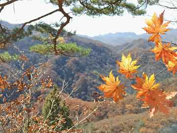 风景园艺（风景园林考研院校排名）