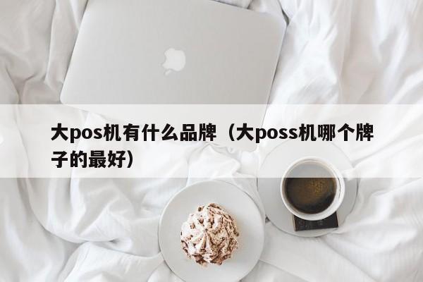 大pos机有什么品牌（大poss机哪个牌子的最好）