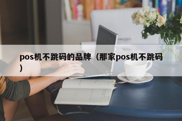 pos机不跳码的品牌（那家pos机不跳码）