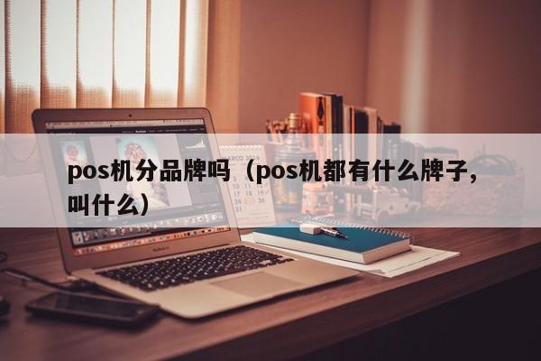 pos机分品牌吗（pos机都有什么牌子,叫什么）