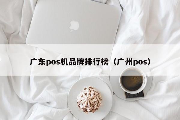 广东pos机品牌排行榜（广州pos）