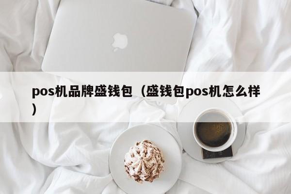 pos机品牌盛钱包（盛钱包pos机怎么样）