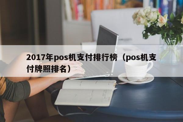 2017年pos机支付排行榜（pos机支付牌照排名）