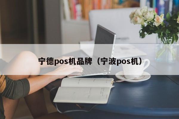 宁德pos机品牌（宁波pos机）