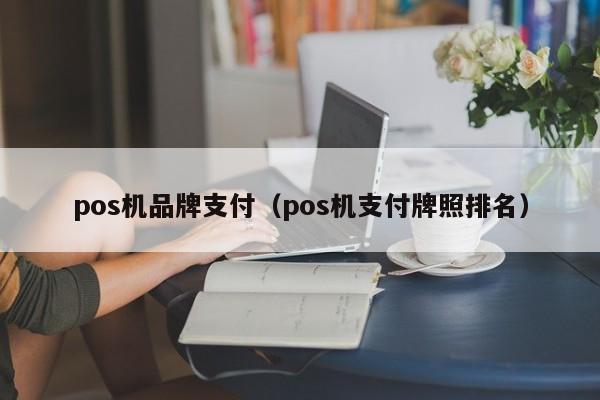 pos机品牌支付（pos机支付牌照排名）