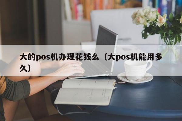 大的pos机办理花钱么（大pos机能用多久）