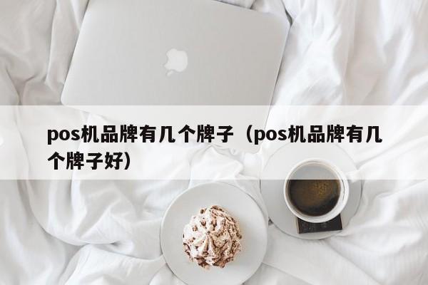 pos机品牌有几个牌子（pos机品牌有几个牌子好）