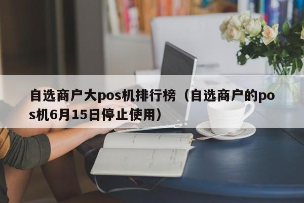 自选商户大pos机排行榜（自选商户的pos机6月15日停止使用）