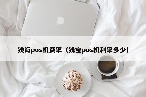 钱海pos机费率（钱宝pos机利率多少）