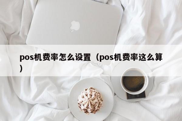 pos机费率怎么设置（pos机费率这么算）