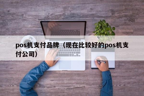 pos机支付品牌（现在比较好的pos机支付公司）