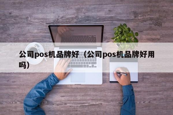 公司pos机品牌好（公司pos机品牌好用吗）