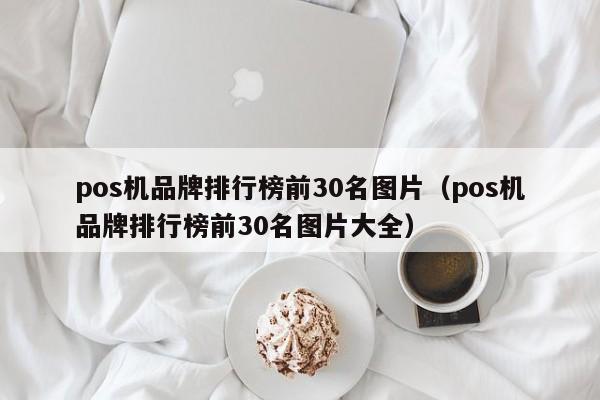 pos机品牌排行榜前30名图片（pos机品牌排行榜前30名图片大全）