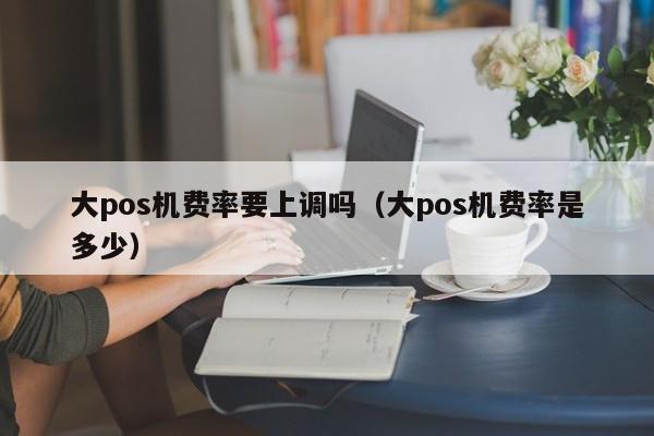 大pos机费率要上调吗（大pos机费率是多少）