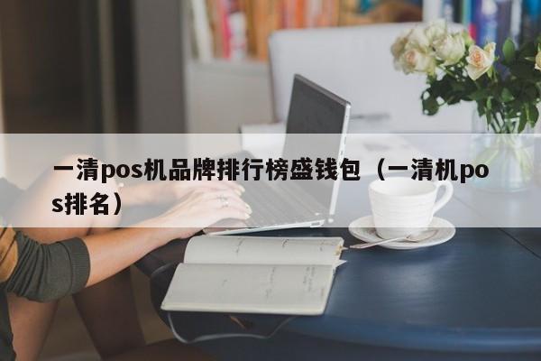 一清pos机品牌排行榜盛钱包（一清机pos排名）