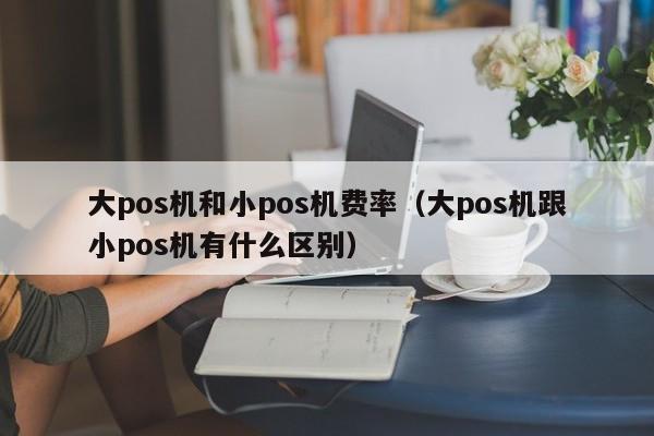 大pos机和小pos机费率（大pos机跟小pos机有什么区别）