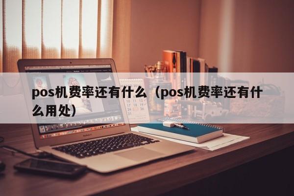 pos机费率还有什么（pos机费率还有什么用处）