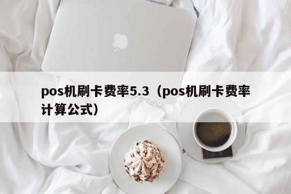 pos机刷卡费率5.3（pos机刷卡费率计算公式）