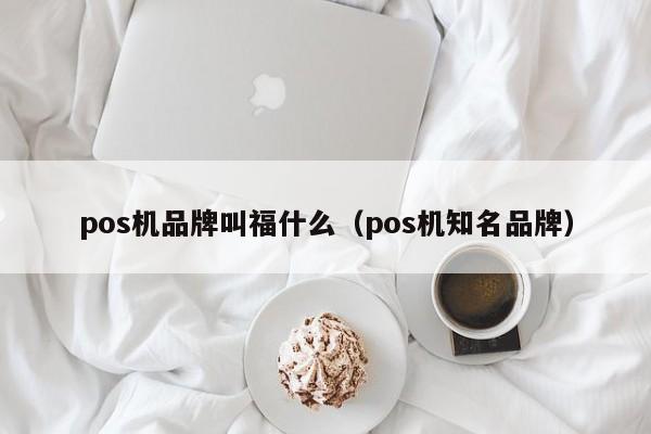 pos机品牌叫福什么（pos机知名品牌）