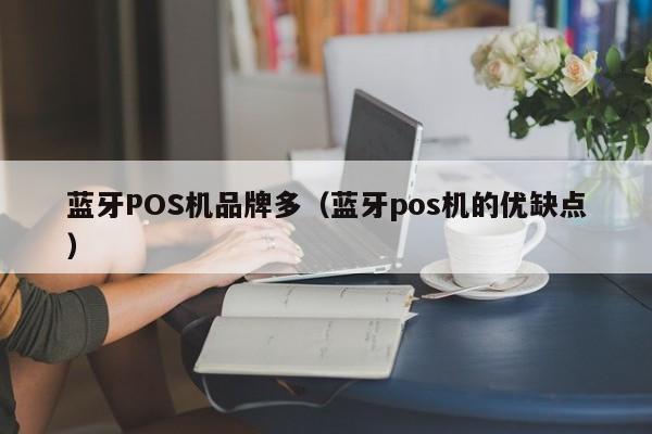 蓝牙POS机品牌多（蓝牙pos机的优缺点）