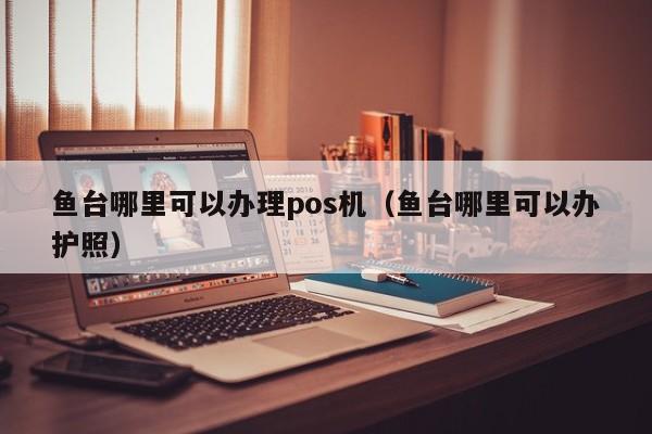 鱼台哪里可以办理pos机（鱼台哪里可以办护照）