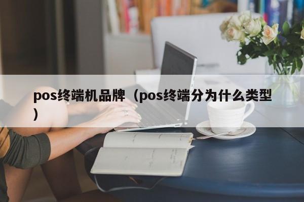 pos终端机品牌（pos终端分为什么类型）