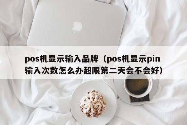 pos机显示输入品牌（pos机显示pin输入次数怎么办超限第二天会不会好）