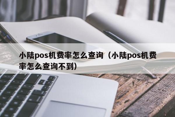 小陆pos机费率怎么查询（小陆pos机费率怎么查询不到）