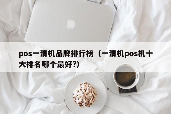 pos一清机品牌排行榜（一清机pos机十大排名哪个最好?）