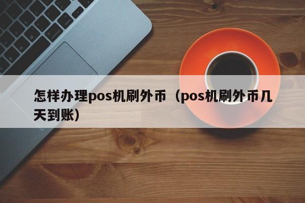 怎样办理pos机刷外币（pos机刷外币几天到账）