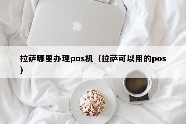 拉萨哪里办理pos机（拉萨可以用的pos）