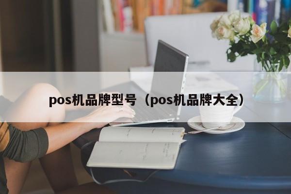 pos机品牌型号（pos机品牌大全）